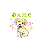 HAYATO-TAKACHOJI お犬のスタンプ 壱（個別スタンプ：4）