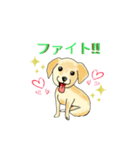 HAYATO-TAKACHOJI お犬のスタンプ 壱（個別スタンプ：18）