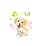 HAYATO-TAKACHOJI お犬のスタンプ 壱（個別スタンプ：23）