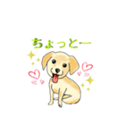 HAYATO-TAKACHOJI お犬のスタンプ 壱（個別スタンプ：26）