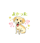 HAYATO-TAKACHOJI お犬のスタンプ 壱（個別スタンプ：28）