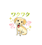 HAYATO-TAKACHOJI お犬のスタンプ 壱（個別スタンプ：31）