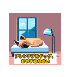 とてもかわいい動物の友達（犬バージョン）（個別スタンプ：7）