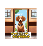 とてもかわいい動物の友達（犬バージョン）（個別スタンプ：13）