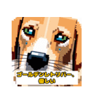 とてもかわいい動物の友達（犬バージョン）（個別スタンプ：21）