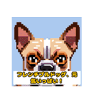 とてもかわいい動物の友達（犬バージョン）（個別スタンプ：37）