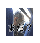 餃子連絡（個別スタンプ：32）