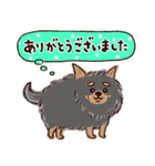 ◯飛び出す！犬のあいさつ・気持ち図鑑◯（個別スタンプ：3）