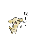 【毎日ずーっと使える】♡犬の日♡大人丁寧（個別スタンプ：5）