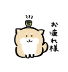 柴犬に癒されたい（個別スタンプ：14）