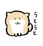 柴犬に癒されたい（個別スタンプ：16）