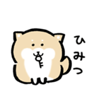 柴犬に癒されたい（個別スタンプ：20）