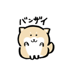 柴犬に癒されたい（個別スタンプ：25）