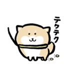 柴犬に癒されたい（個別スタンプ：37）