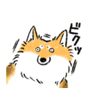 犬のもなか詰め合わせ（個別スタンプ：26）