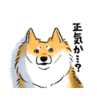 犬のもなか詰め合わせ（個別スタンプ：37）