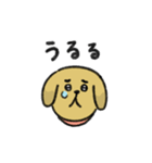 シュッとしたイヌ ♡犬の日2023♡（個別スタンプ：26）