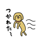 シュッとしたイヌ ♡犬の日2023♡（個別スタンプ：33）