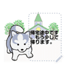 ドックズ センス（個別スタンプ：9）