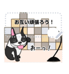 ドックズ センス（個別スタンプ：18）