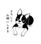 Doggy daily 3（個別スタンプ：11）