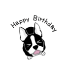 Doggy daily 3（個別スタンプ：17）