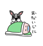 ボストンテリアといでこさん犬の日スタンプ（個別スタンプ：32）