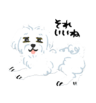 名犬 モッフル（個別スタンプ：15）