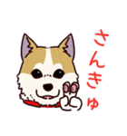 うちの雑種犬と雑種猫（個別スタンプ：2）