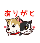 うちの雑種犬と雑種猫（個別スタンプ：5）