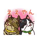 うちの雑種犬と雑種猫（個別スタンプ：6）