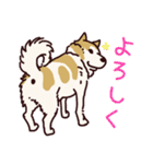 うちの雑種犬と雑種猫（個別スタンプ：9）