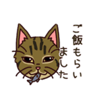 うちの雑種犬と雑種猫（個別スタンプ：12）