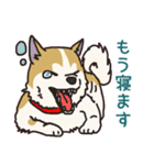 うちの雑種犬と雑種猫（個別スタンプ：15）