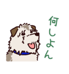 うちの雑種犬と雑種猫（個別スタンプ：16）