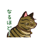 うちの雑種犬と雑種猫（個別スタンプ：17）