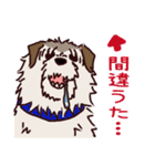 うちの雑種犬と雑種猫（個別スタンプ：21）