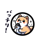 かわいい柴犬と雪だるまのスタンプ（個別スタンプ：10）