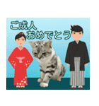 祝日.日本語（アメリカンショートヘア）（個別スタンプ：2）