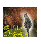 祝日.日本語（アメリカンショートヘア）（個別スタンプ：3）