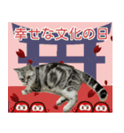 祝日.日本語（アメリカンショートヘア）（個別スタンプ：21）