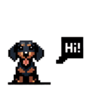 ⚫ミニチュアダックスフント［ドット絵］（個別スタンプ：31）