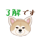 カジュアルなあいさつ☆犬のスタンプ（個別スタンプ：2）