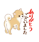 カジュアルなあいさつ☆犬のスタンプ（個別スタンプ：10）