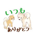 カジュアルなあいさつ☆犬のスタンプ（個別スタンプ：11）