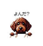 ドット絵 ラブラドゥードル 犬 茶 日常会話（個別スタンプ：1）