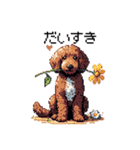 ドット絵 ラブラドゥードル 犬 茶 日常会話（個別スタンプ：2）