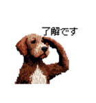 ドット絵 ラブラドゥードル 犬 茶 日常会話（個別スタンプ：3）