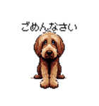 ドット絵 ラブラドゥードル 犬 茶 日常会話（個別スタンプ：4）