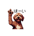 ドット絵 ラブラドゥードル 犬 茶 日常会話（個別スタンプ：6）